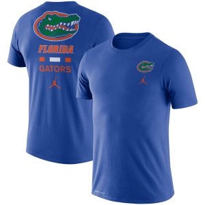 Men's Jordan Brand Royal Florida Gators DNA Performance T-Shirt